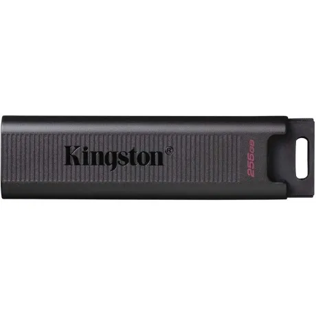 Флешка Kingston DataTraveler Max 256Gb USB 3.2 Gen2 DTMAX/256GB