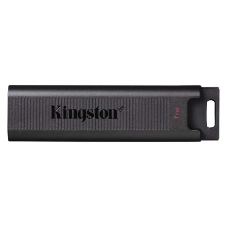 Флешка Kingston DataTraveler Max 1Tb USB 3.2 DTMAX/1TB - фото 1