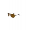 Солнцезащитные очки TROPICAL STANLEY SILVER/BROWN (16426925414)