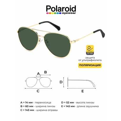 Солнцезащитные очки унисекс Polaroid PLD 4142/G/S/X GOLDGREEN PLD-205710PEF60UC - фото 6