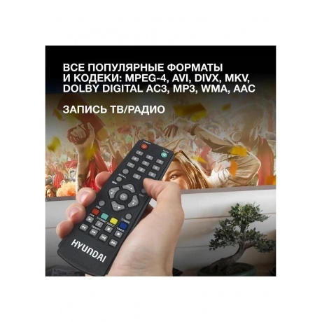 Цифровой TV ресивер HYUNDAI H-DVB460 черный - фото 11