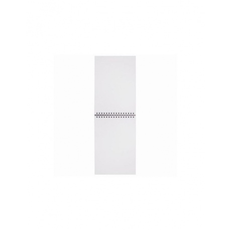Скетчбук, белая бумага 120г/м2, 145х205мм, 40л, гребень, жёсткая подложка, BRAUBERG ART DEBUT (6 шт.)  - фото 2