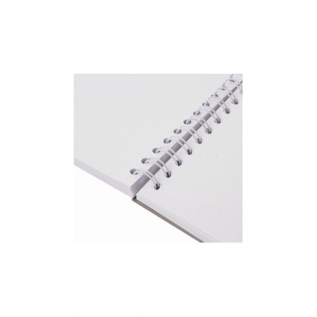 Скетчбук, белая бумага 100г/м2, 105х148мм, 60л, гребень, жёсткая подложка, BRAUBERG ART DEBUT (10 шт.)  - фото 3