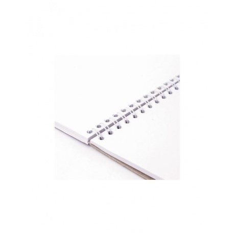 Скетчбук, белая бумага 100г/м2, 297х410мм, 50л, гребень, жёсткая подложка, BRAUBERG ART DEBUT - фото 3
