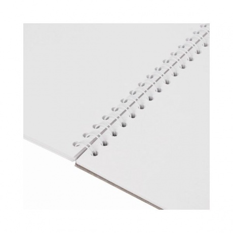 Скетчбук, акварельная белая бумага 200г/м ГОЗНАК, 297х410мм, 20л,гребень подложка BRAUBERG ART DEBUT - фото 5