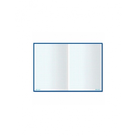 Книга канцелярская 80л., А4 215*295 мм, BRAUBERG, клетка, твердая обложка 7БЦ, глянцевая, блок офсет, 130065 - фото 2