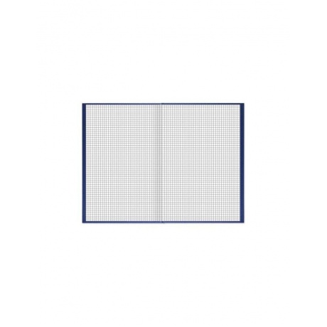 Книга учета 144 л., клетка, твердая, бумвинил, блок офсет, А4 (200х290 мм), BRAUBERG, 130226 - фото 3