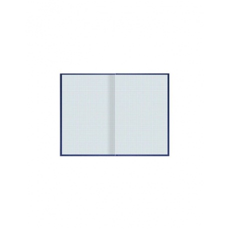 Книга учета 96 л., клетка, твердая, бумвинил, типографский блок, А4 (200х290 мм), STAFF, 130214 (5 шт.) - фото 4