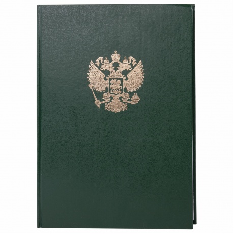 130277, Книга учета 96 л., клетка, твердая, бумвинил, офсет, гер...