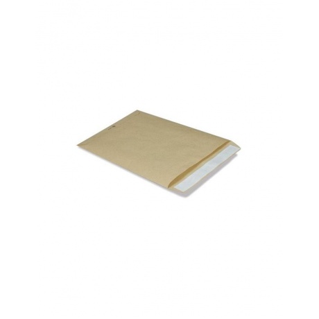 Конверт-пакет В4 плоский (250х353 мм) до 140 листов, крафт-бумага, отрывная полоса, 380090, (250 шт.) - фото 1