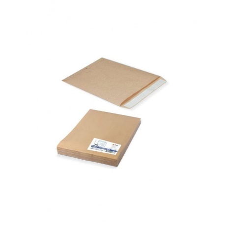 Конверт-пакеты Е4+ плоские (300х400 мм), до 300 листов, крафт-бумага, отрывная полоса, КОМПЛЕКТ 25 шт., 312017.25 - фото 1