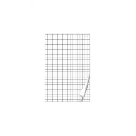 Блокнот для флипчарта BRAUBERG, 20 листов, клетка, 67,5х98 см, 80 г/м2, 128645 - фото 1