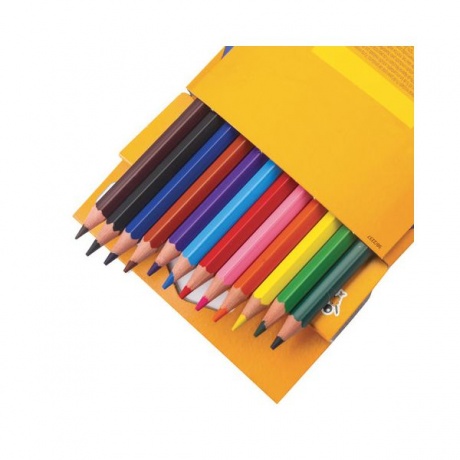 Карандаши цветные BIC Kids ECOlutions Evolution, 12 цветов, пластиковые, заточенные, европодвес, 82902910 - фото 4