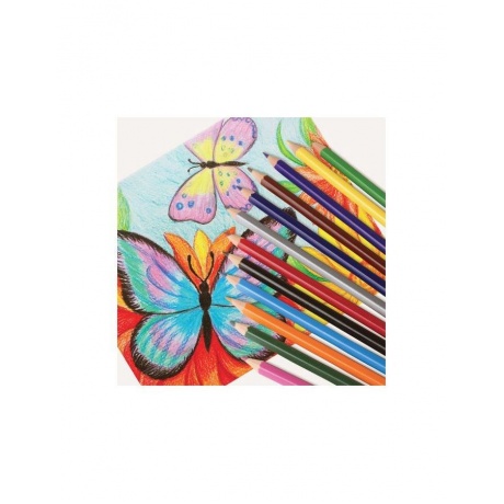 Карандаши цветные ПИФАГОР, 12 цветов, классические, заточенные, картонная упаковка, 180296, (12 шт.) - фото 6
