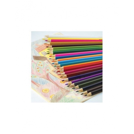 Карандаши цветные ПИФАГОР, 24 цвета, классические, заточенные, картонная упаковка, 180298 - фото 6