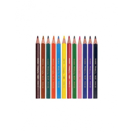 Карандаши цветные утолщенные BIC Triangle, 12 цветов, пластиковые, трехгранные, картонная упаковка, 8297356 - фото 2