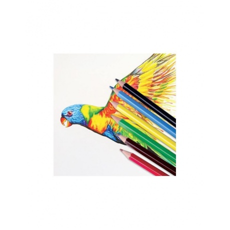 Карандаши цветные ПИФАГОР ЖИРАФ, 6 цветов, пластиковые, классические заточенные, 181249, (24 шт.) - фото 6