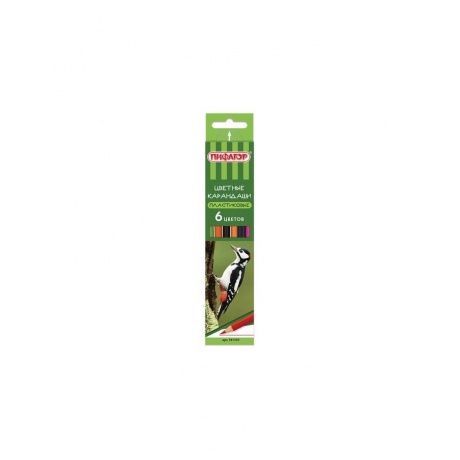Карандаши цветные ПИФАГОР ЛЕСНЫЕ ЖИТЕЛИ, 6 цветов, пластиковые, классические заточенные, 181333, (24 шт.) - фото 1