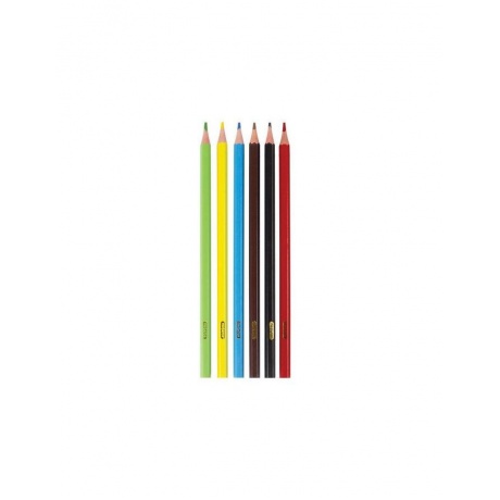 Карандаши цветные ПИФАГОР ЛЕСНЫЕ ЖИТЕЛИ, 6 цветов, пластиковые, классические заточенные, 181333, (24 шт.) - фото 2