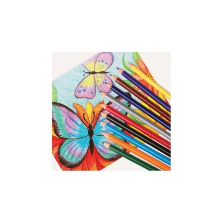 Карандаши цветные ПИФАГОР ЛЕСНЫЕ ЖИТЕЛИ, 6 цветов, пластиковые, классические заточенные, 181333, (24 шт.) - фото 6