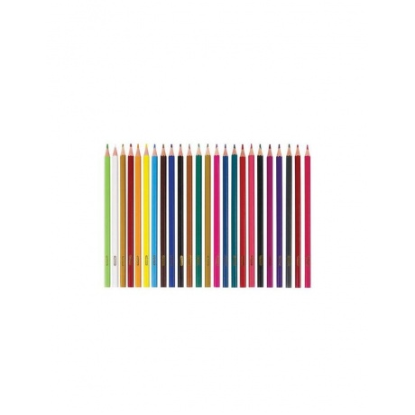 Карандаши цветные ПИФАГОР ЛЕСНЫЕ ЖИТЕЛИ, 24 цветов, пластиковые, классические заточенные, 181336 - фото 2