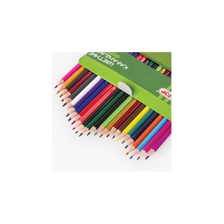 Карандаши цветные ПИФАГОР ЛЕСНЫЕ ЖИТЕЛИ, 24 цветов, пластиковые, классические заточенные, 181336 - фото 4