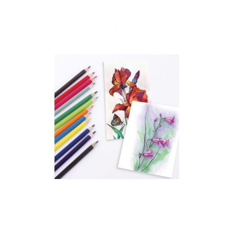 Карандаши цветные акварельные BRAUBERG АКАДЕМИЯ, 12 цветов, шестигранные, высокое качеств - фото 6