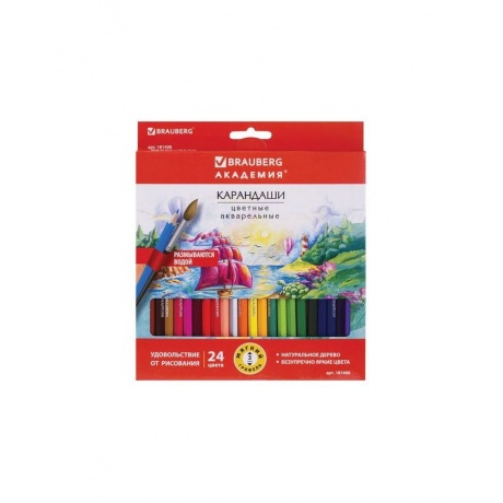 Карандаши цветные акварельные BRAUBERG АКАДЕМИЯ, 24 цвета, шестигранные,высокое качество - фото 2