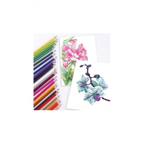 Карандаши цветные акварельные BRAUBERG АКАДЕМИЯ, 24 цвета, шестигранные,высокое качество - фото 7