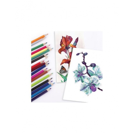 Карандаши цветные акварельные BRAUBERG АКАДЕМИЯ, 18 цветов, шестигранные, высокое качеств - фото 6