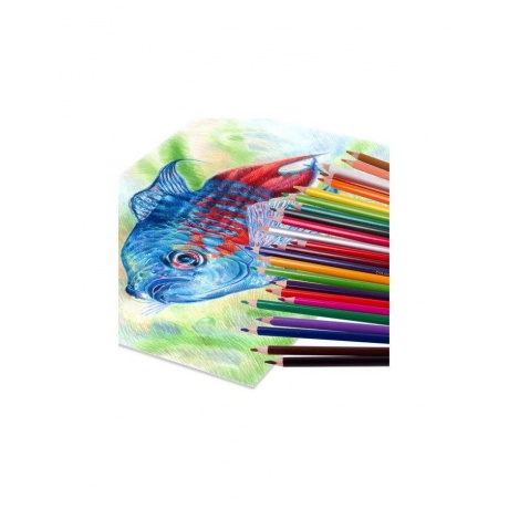 Карандаши цветные BRAUBERG PREMIUM, 24 цвета, трехгранные, грифель мягкий 3,3 мм, 181653 - фото 6