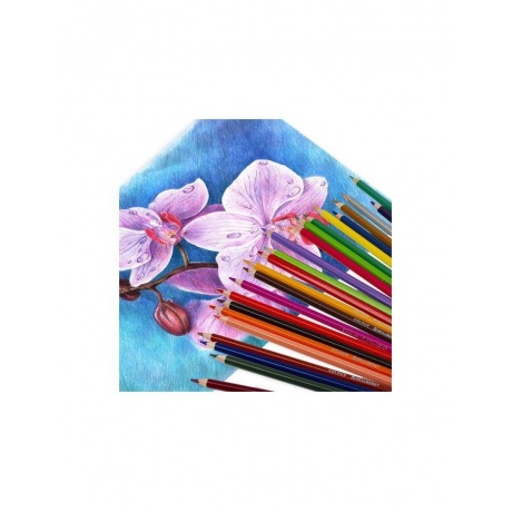 Карандаши цветные BRAUBERG PREMIUM, 18 цветов, шестигранные, грифель мягкий 3,3 мм, 181657 - фото 6