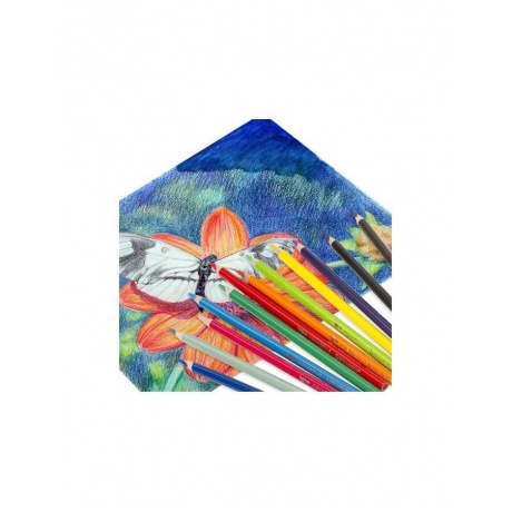 Карандаши цветные акварельные BRAUBERG PREMIUM AQUARELLE, 12 цветов, грифель мягкий 4 мм, 181671 - фото 6