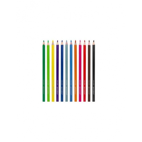Карандаши цветные BRAUBERG PREMIUM, 12 цветов, трехгранные, грифель мягкий 3,3 мм, 181651 (6 шт.) - фото 2