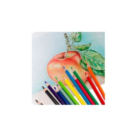 Карандаши цветные BRAUBERG PREMIUM, 12 цветов, трехгранные, грифель мягкий 3,3 мм, 181651 (6 шт.) - фото 6