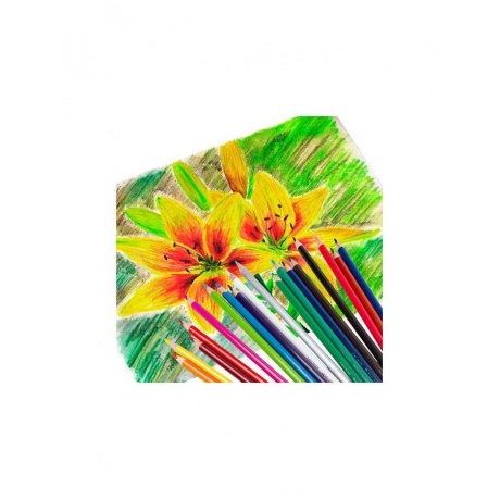 Карандаши цветные BRAUBERG PREMIUM, 18 цветов, трехгранные, грифель мягкий 3,3 мм, 181652 - фото 6
