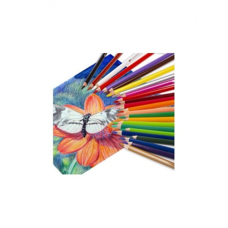 Карандаши цветные акварельные BRAUBERG PREMIUM AQUARELLE, 24 цвета, грифель мягкий 4 мм, 181673 - фото 6