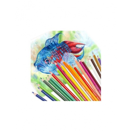 Карандаши цветные пластиковые BRAUBERG PREMIUM, 24 цвета, трехгранные, грифель мягкий 3 мм, 181663 - фото 6