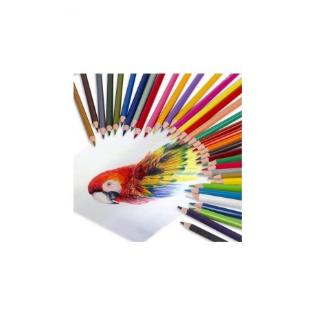 Карандаши цветные пластиковые BRAUBERG PREMIUM, 36 цветов, шестигранные, грифель мягкий 3 мм, 181669 - фото 6