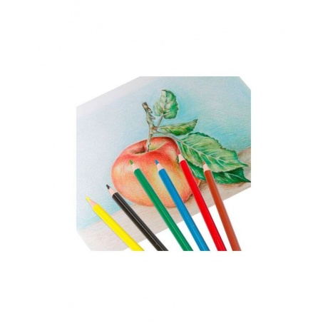 Карандаши цветные пластиковые BRAUBERG PREMIUM, 6 цветов, трехгранные, грифель мягкий 3 мм, 181660 (24 шт.) - фото 6