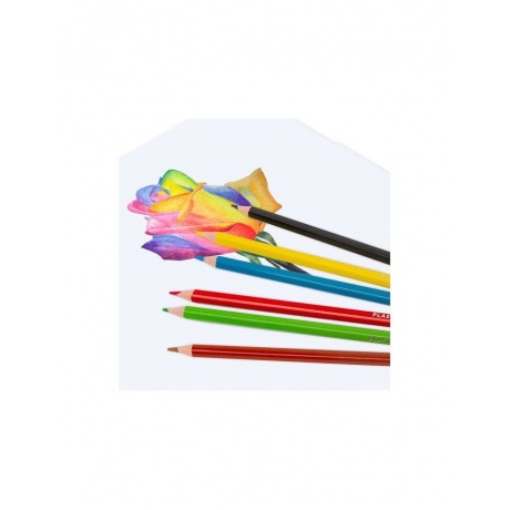 Карандаши цветные пластиковые BRAUBERG PREMIUM, 6 цветов, шестигранные, грифель мягкий 3 мм, 181665 (24 шт.) - фото 6