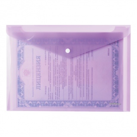 Папка-конверт с кнопкой ERICH KRAUSE Envelope, А4, до 100 листов, тонированная, пастель ассорти, 0,18 мм, 42936 - фото 4