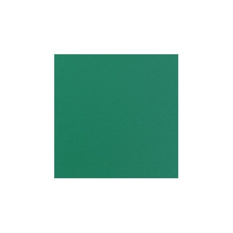Папка на 2 кольцах STAFF, 40 мм, зеленая, до 250 листов, 0,5 мм, 225723, (10 шт.) - фото 7