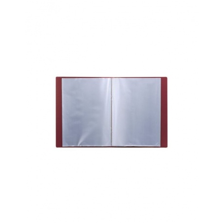 Папка 30 вкладышей BRAUBERG стандарт, красная, 0,6 мм, 221598, (6 шт.) - фото 3