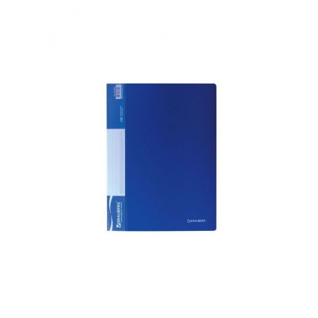 Папка 100 вкладышей BRAUBERG стандарт, синяя, 0,9 мм, 221609 - фото 2