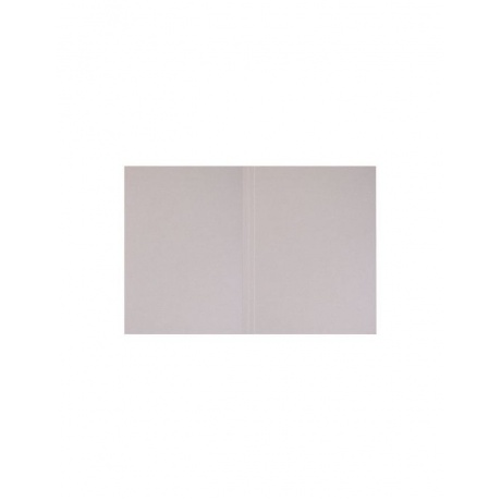 Папка без скоросшивателя Дело, картон мелованный, плотность 280 г/м2, до 200 листов, BRAUBERG, (200 шт.) - фото 3