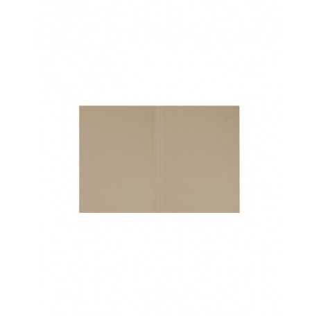 Папка без скоросшивателя Дело, картон мелованный, плотность 440 г/м2, до 200 листов, BRAUBERG, (150 шт.) - фото 3