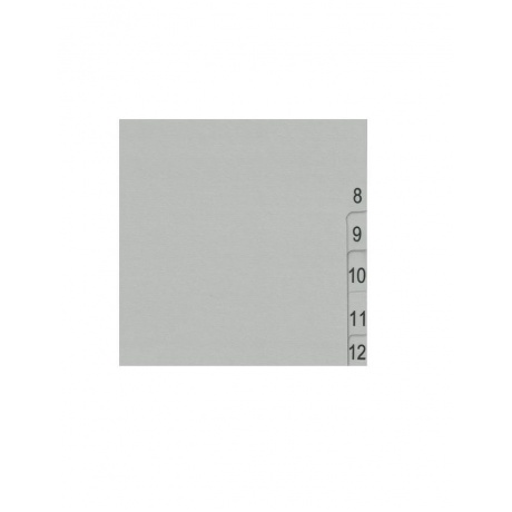 Разделитель пластиковый BRAUBERG, А4, 12 листов, цифровой 1-12, оглавление, серый, 225596, (5 шт.) - фото 3