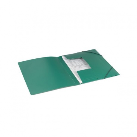 Папка на резинках BRAUBERG, стандарт, зеленая, до 300 листов, 0,5 мм, 221621, (10 шт.) - фото 7