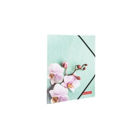 228032, (цена за 6 шт.) Папка на резинках BRAUBERG FLOWER, А4, цветная печать, до 300 листов, 500 мкм - фото 1